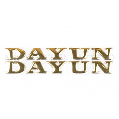 Наклейка літери DAYUN (19х4см, 2шт, золоті) (#DYN)