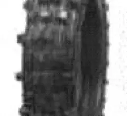 Мотошина 2,50 -10 TT MTS-001 MTS