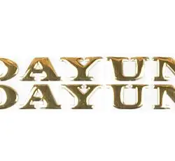 Наклейка буквы DAYUN (19х4см, 2шт, золотые) (#DYN)